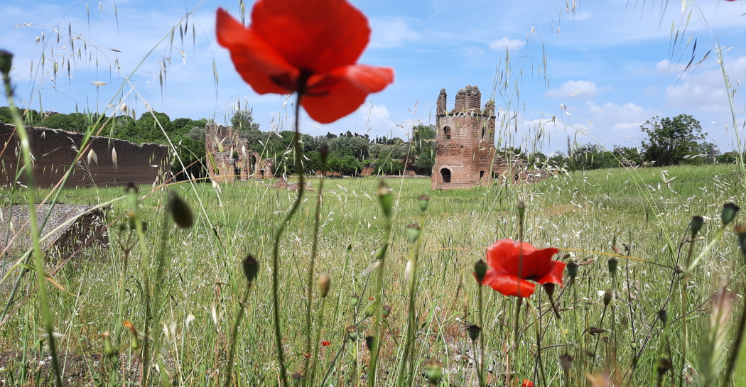 Villa di Massenzio: veduta delle torri del Circo