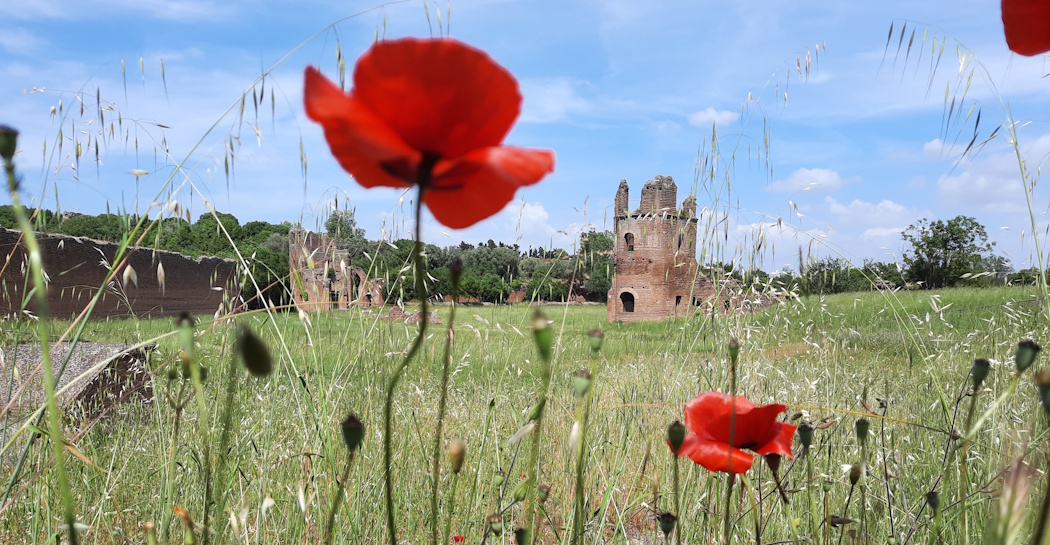 Giornate Europee del Patrimonio 2026